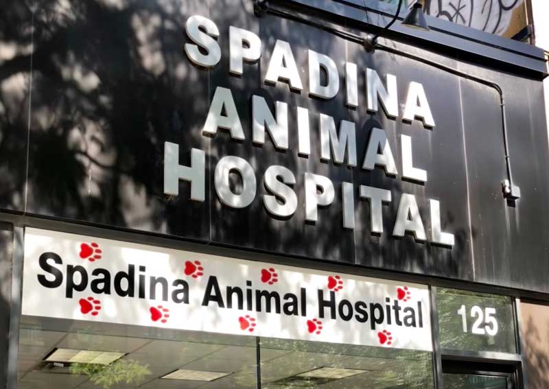 Carousel Slide 2: Learn more about us!